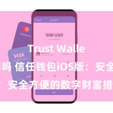 Trust Wallet国内能用吗 信任钱包iOS版：安全方便的数字财富措置器具