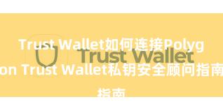 Trust Wallet如何连接Polygon Trust Wallet私钥安全顾问指南