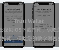 Trust Wallet app下载 信任钱包iOS下载指南，保险您的数字财富安全